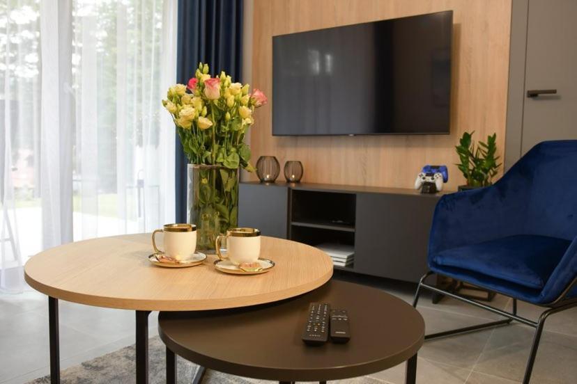 Apartament Prywatny Stone Hill Rackiewicz Z Basenem Szklarska Poręba Exterior foto